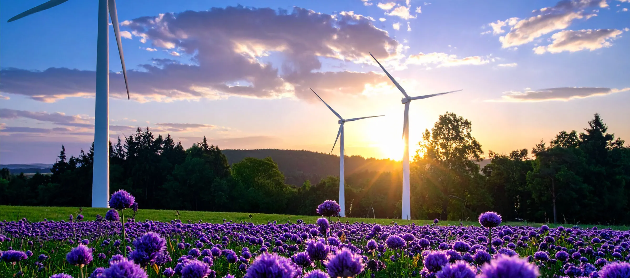 Solar, Wind, and Battery renewable energy development